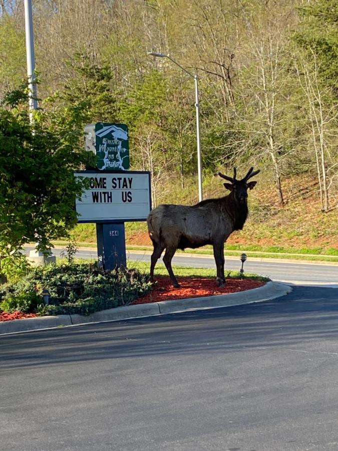 Smoky Mountain Inn & Suites Cherokee Dış mekan fotoğraf